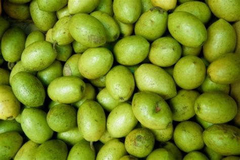 15 Sri Lankan Fruits That You Should Try While Visiting Swedish Nomad