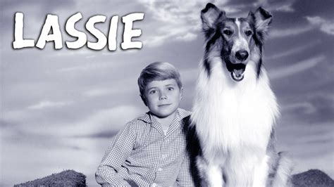 Lassie Cbs Series