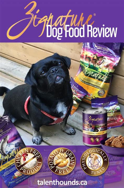 What Makes Zignature Dog Food Unique? - Talent Hounds