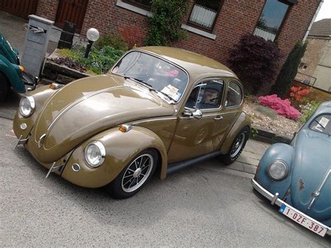 Brown Looks Good Volkswagen Beetle Volkswagen Aircooled Vw Bug