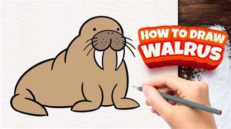 Easy Walrus Drawing Tutorial For Beginners Step By Step Guide Youtube