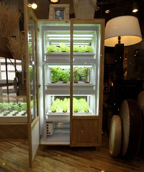You can grow them outdoors in good weather and then bring them into sunny locations indoors to overwinter. Grow your own veggies-in a cabinet, with no soil | Hydroponics, Indoor farming, Home greenhouse