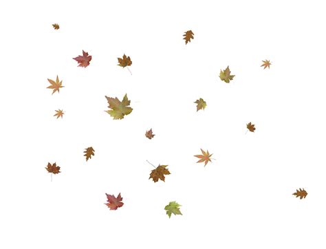 Falling Leaf Png