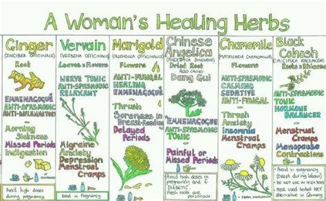 Women Specific Herbs Healing Herbs Herbs For Health Medicinal Herbs