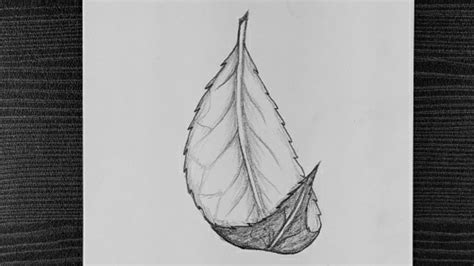 How To Draw A Leaf Beautiful Leaf Pencil Drawing Step By Step