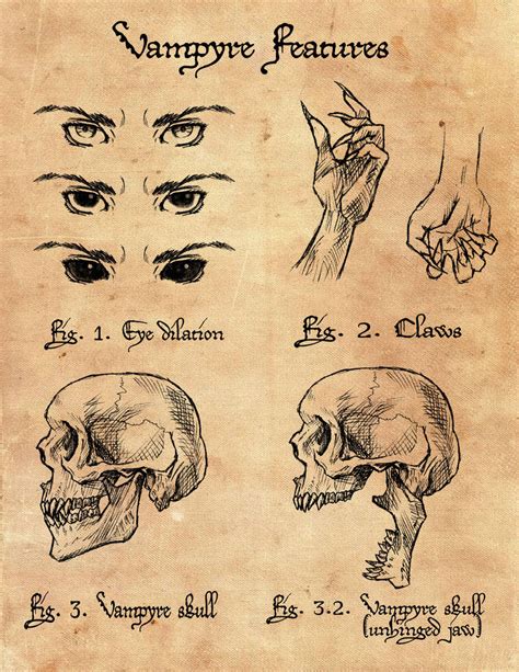 Vampyre Anatomy By Dread Softly On Deviantart