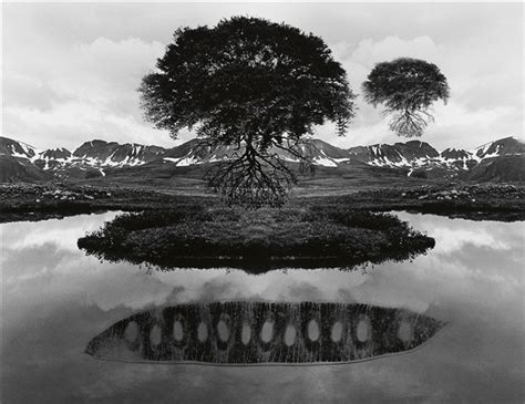 Untitled Floating Tree By Jerry Uelsmann On Artnet