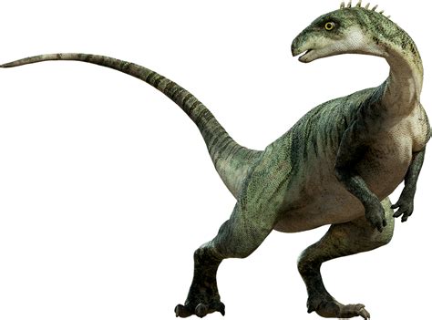 Must contain at least 4 different symbols; Dinosaur PNG - PNG image with transparent background