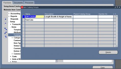 Item Catalog Oracle Erp Apps Guide