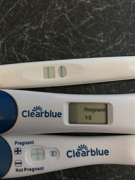 Pregnancy At 5 Weeks Pregnancywalls
