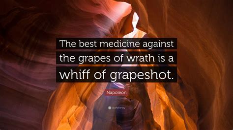 Napoleon Quote The Best Medicine Against The Grapes Of