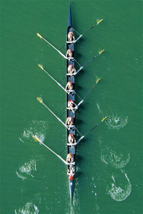 214 best images about rowing art images on pinterest rowing team the boat and boats