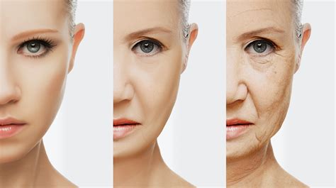 How We Age Lh Aesthetics Brighton The Effects Of Ageing