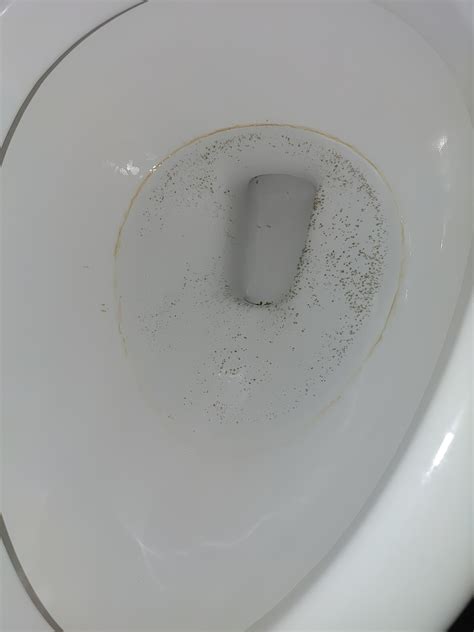 Black Dots In Toilet R CleaningTips
