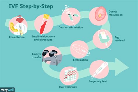 Ivf Process Where To Start With Ivf In Virto Fertilization