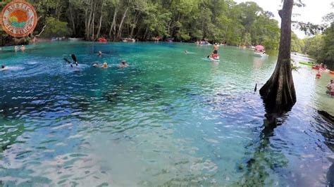 Discover Cypress Springs On Holmes Creek In Vernon Florida