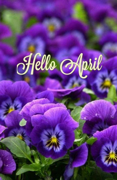 50 Hello April Images Pictures Quotes And Pics 2020