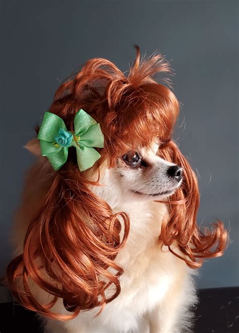 Pet Wig For Dog Or Cat With Cute Bow Green Color Etsy In 2021 Pets