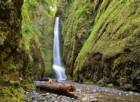 Lower Oneonta Creek Falls Columbia River Gorge Photo For Sale