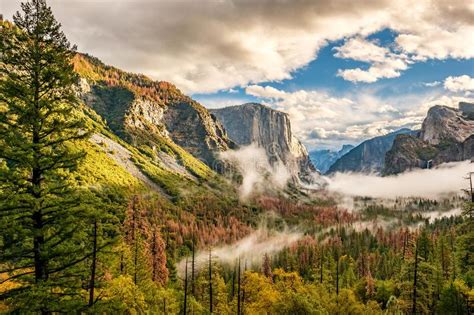 1229 Yosemite Valley Fog Stock Photos Free And Royalty Free Stock