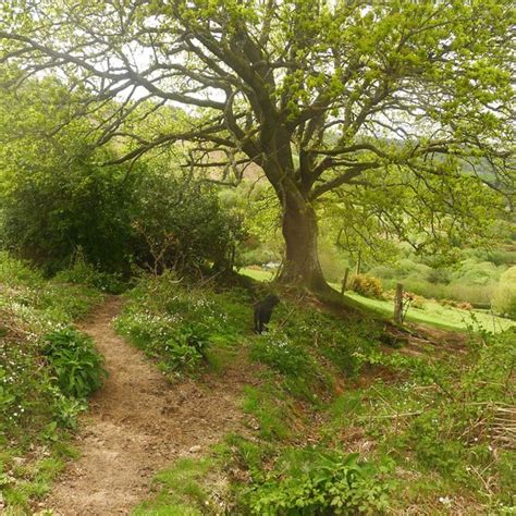Myth And Moor The Choices We Make The Paths We Follow