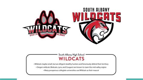 South Albany Students Vote On New Mascot Education