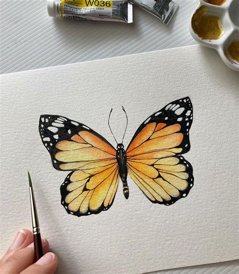 20 Beautiful Watercolor Butterfly Painting Ideas Beautiful Dawn