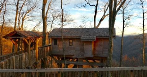 7 Luxury Us Tree House Rentals That You Need To See