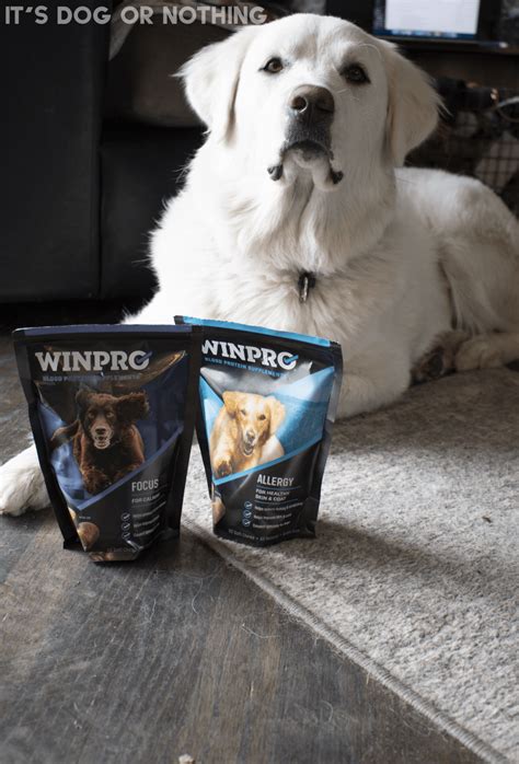 Winpro Blood Protein Supplements For Dogs Its Dog Or Nothing