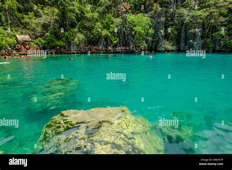 Kayangan Lake In Coron Island Palawan The Philippines Stock Photo Alamy