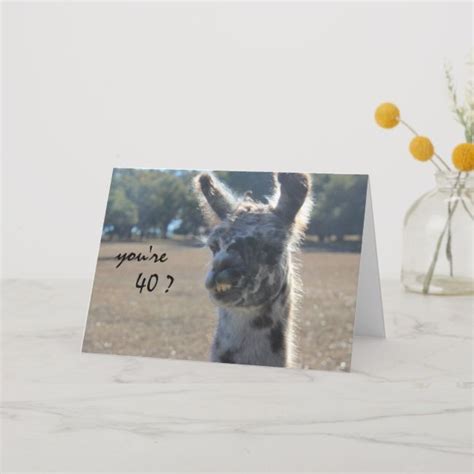 You're not 50 years old, you are 20 years old with 30 years of. Funny Llama Birthday, 40th, Over the Hill Card | Zazzle ...