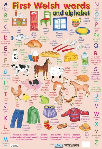 First Welsh Words Alphabet Poster Little Linguist