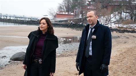 More Than Meets The Eye Blue Bloods 11x08 Tvmaze