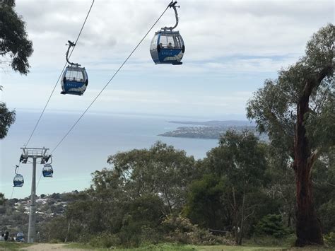 Book a arthur's seat tour! Arthurs Seat, Dromana, Victoria | Minky's Day Out