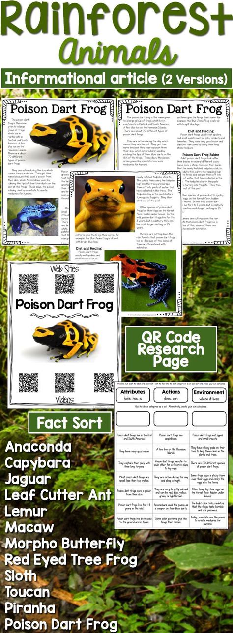 Rainforest Animals Informational Article Qr Code Research Page And Fact