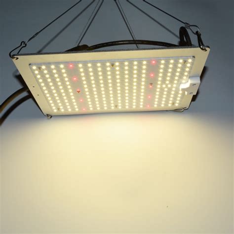 How far should grow lights be from plants? LED Grow Light for Plants Panel Quantum 600W-SEVEN COLORS