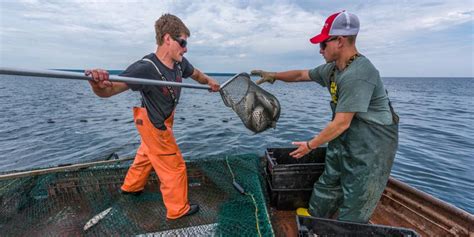 The Fishermen Michigan Fish Producers Association