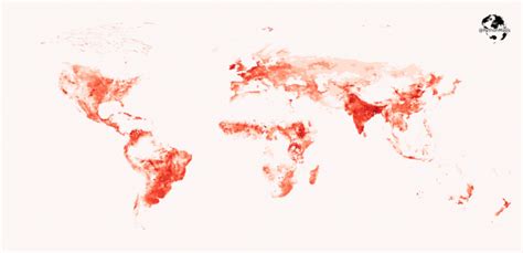 Global Cow Population Map Wondering Maps
