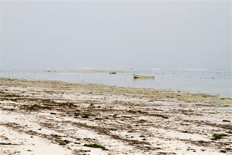 White Beach Of The Indian Ocean Spice Island Of Zanzibar Unguja