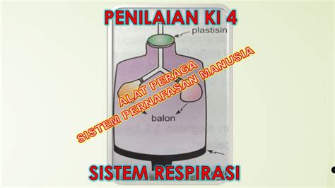 Frekuensi pernafasan cepat, tidak teratur. Penilaian KI - 4 : Bab Sistem Respirasi - Alat Peraga ...