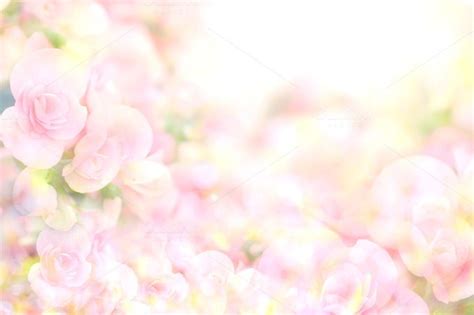 Soft Sweet Pink Flower Background Containing Background Flower And