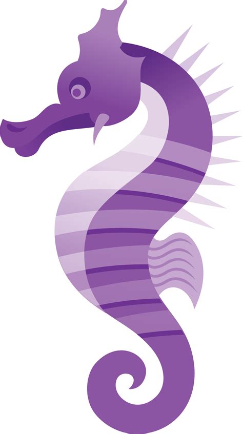 Seahorse Png Transparent Image Download Size 1141x2040px