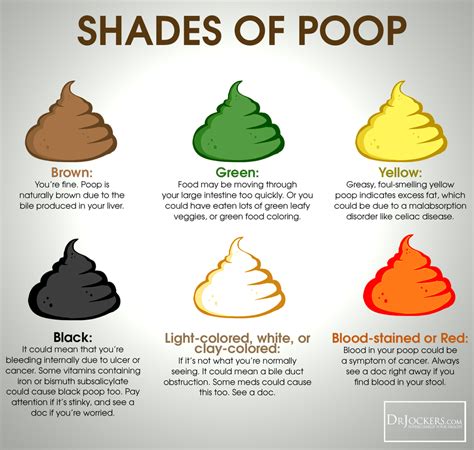 Whats Your Poop Telling You