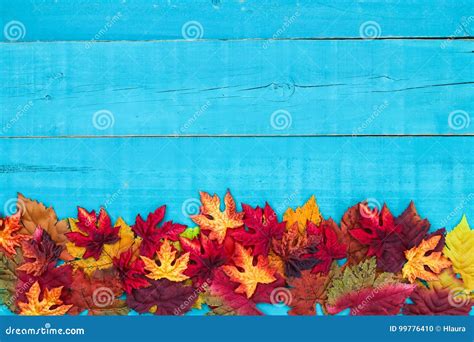 Blank Autumn Wood Sign With Colorful Leaves Border Stock Photo Image