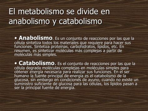 Cuadro Comparativo Entre Catabolismo Y El Anabolismo Kulturaupice