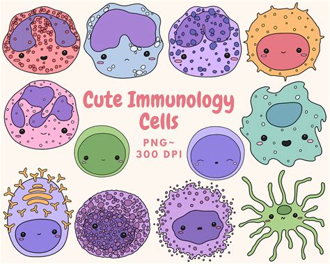 Cute Immunology Cells Clip Art Digital Download Cute Biology Etsy