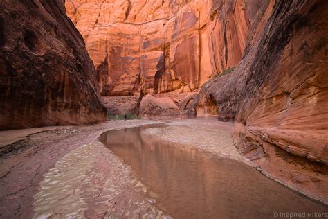 Buckskin Gulch And Paria Canyon Inspired Hikers