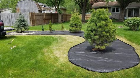 Tall innovative edging in black or light brown, has many benefits to a landscape design. Amazon.com : Dimex EasyFlex No-Dig Plastic Landscape Edging Kit, 40-Feet (3000-40C-4) : Garden ...