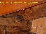 Pictures of Termite Prevention Do It Yourself