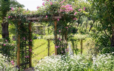 Cottage Garden Ideas Hints And Tips David Domoney Diy Trellis Garden